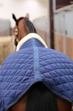 Clearance kentucky Horsewear stalldekken, 400 gram DB/AB