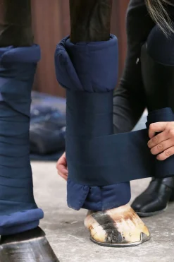 kentucky Horsewear vatterte bandasjeunderlag, sett med 4 DB/AB