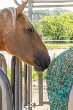 Clearance kerbl høynett for rundballer, hengende green