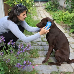 kerbl Magic Brush, hund ShadowBlue