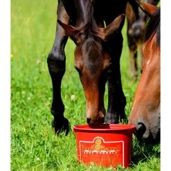 Outlet kevinbacon Kevin Bacon Ikkespesifisert