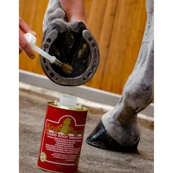 Best kevinbacon Kevin Bacon Ikkespesifisert