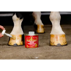 Sale kevinbacon Kevin Bacon Ikkespesifisert