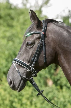 New kieffer Comfort Paris hodelag Black/White/Chrome