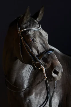 Best kieffer Ultrasoft® Amy kandarhodelag Black