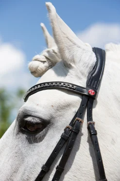 kieffer Ultrasoft® Fashion hodelag Black