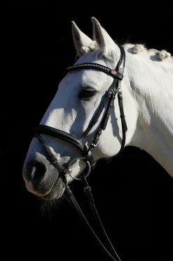 Best kieffer Ultrasoft® FlexiStyle hodelag Black