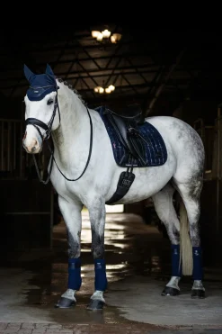 Hot lemieux Adour Dressursalvepute Fyrkant Navy