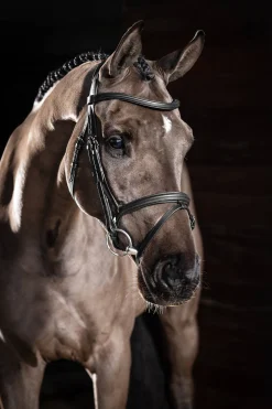 Online lemieux Arika Flash hodelag Black/Silver