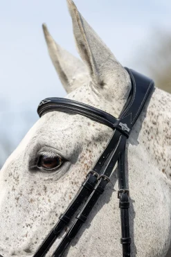 Discount lemieux Competition Flash hodelag Black