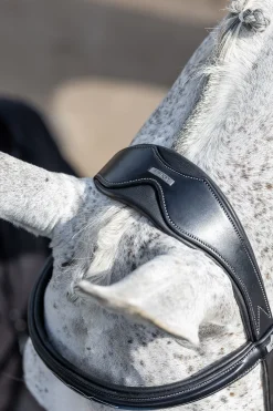 Discount lemieux Competition Flash hodelag Black