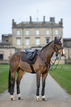 New lemieux Grafter stryksokker Cinder