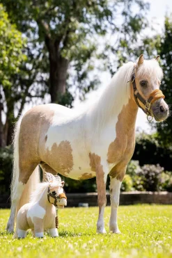 Clearance lemieux lekepåni Lemon