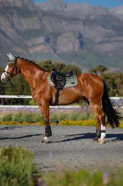 Sale lemieux Loire Square CC Sprangsjabrak Fern