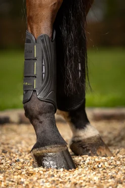 New lemieux MIMSafe XC Gamasche, bak Black