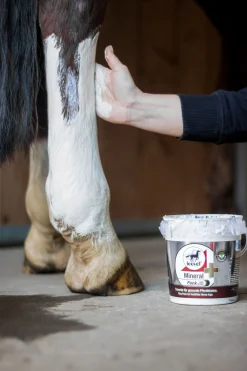 Hot leovet mineralpakke med arnika Ikkespesifisert