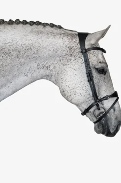 Sale psofsweden PS of Sweden Hodelag, Mary Lou av Henrik von Eckermann black