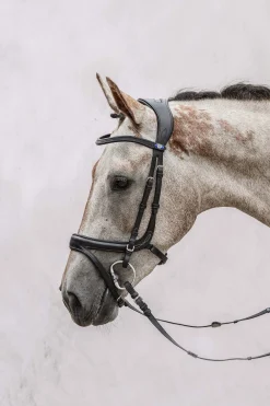 Sale psofsweden PS of Sweden Jump Off hodelag Black