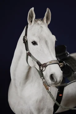 Outlet schockemohle Schockemöhle Sports Acron Style Halter jungle