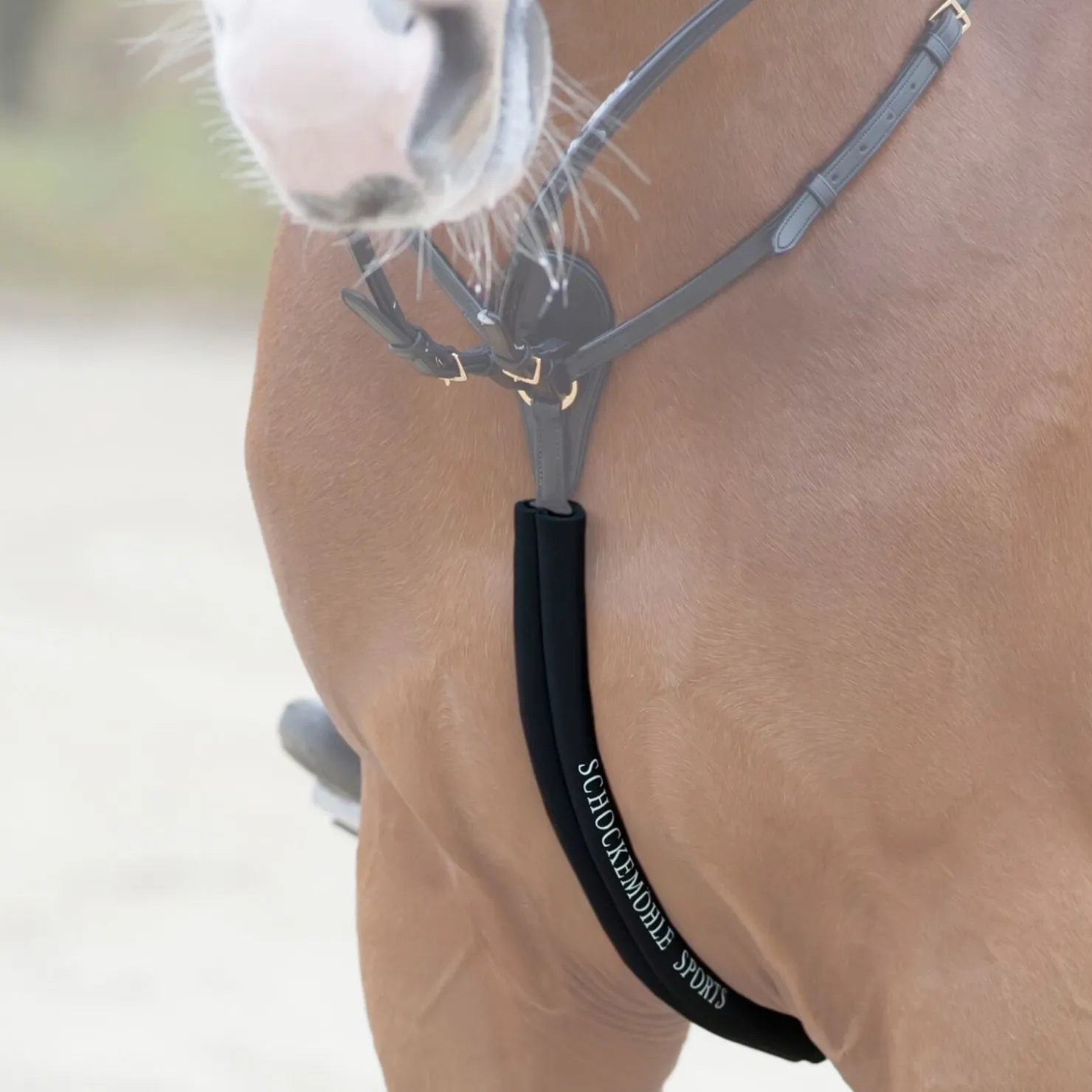 Hot schockemohle Schockemöhle Sports Body Gyard Sport, neoprentube på brystplaten Black