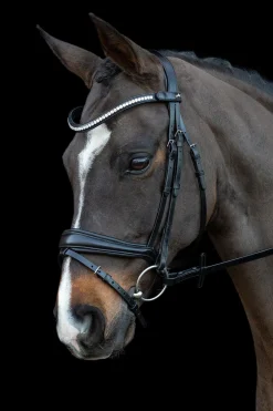 Best schockemohle Schockemöhle Sports Charleston Hodelag black/silver