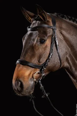 Hot schockemohle Schockemöhle Sports Equitus Delta hodelag Black/Silver