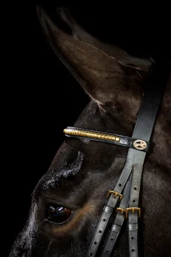 Sale schockemohle Schockemöhle Sports Heidelberg hodelag black/gold