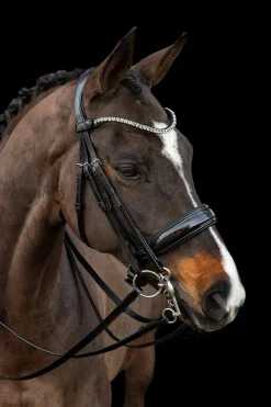 Online schockemohle Schockemöhle Sports Milazzo Kandar black/silver