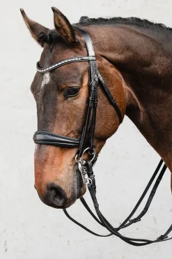 schockemohle Schockemöhle Sports Milton Anatomic  Double Bridle Black/Silver