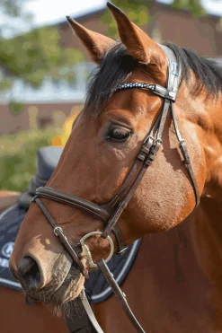 Clearance sprenger Novocontact Muffebitt 14mm Enkeltleddet Sensogan Med D-Formede Ringer silver