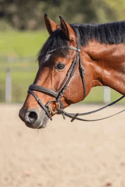 Clearance sprenger Novocontact Muffebitt 14mm Enkeltleddet Sensogan Med D-Formede Ringer silver