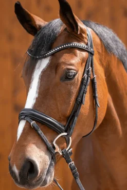 sprenger Novocontact Olivehead Bit, Double Jointed Ikkespesifisert