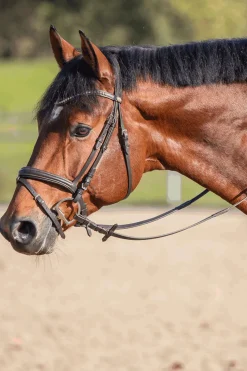 sprenger Novocontact Olivehead Bit, Double Jointed Ikkespesifisert