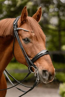 Sale sprenger Novocontact Weymouth 14mm Sensogan med 5cm rustfrie stålkjefter silver