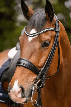 Hot sprenger Novocontact Weymouth 14mm Sensogan med 7cm rustfrie stålkjefter silver