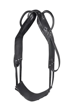 Online waldhausen Star voltigegjord Black