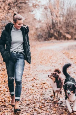 Sale suedwindfootwear Suedwind Footwear New Work ankelboots, Chelsea ChampagneLightBrown