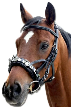 New waldhausen Leather Cavesson Black