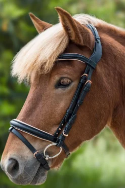 Best waldhausen Rose Icelandic Bridle Black/RoseGold