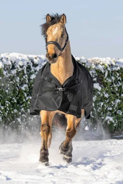 Best waldhausen Scandic Utedekken med høy hals, 200 g black