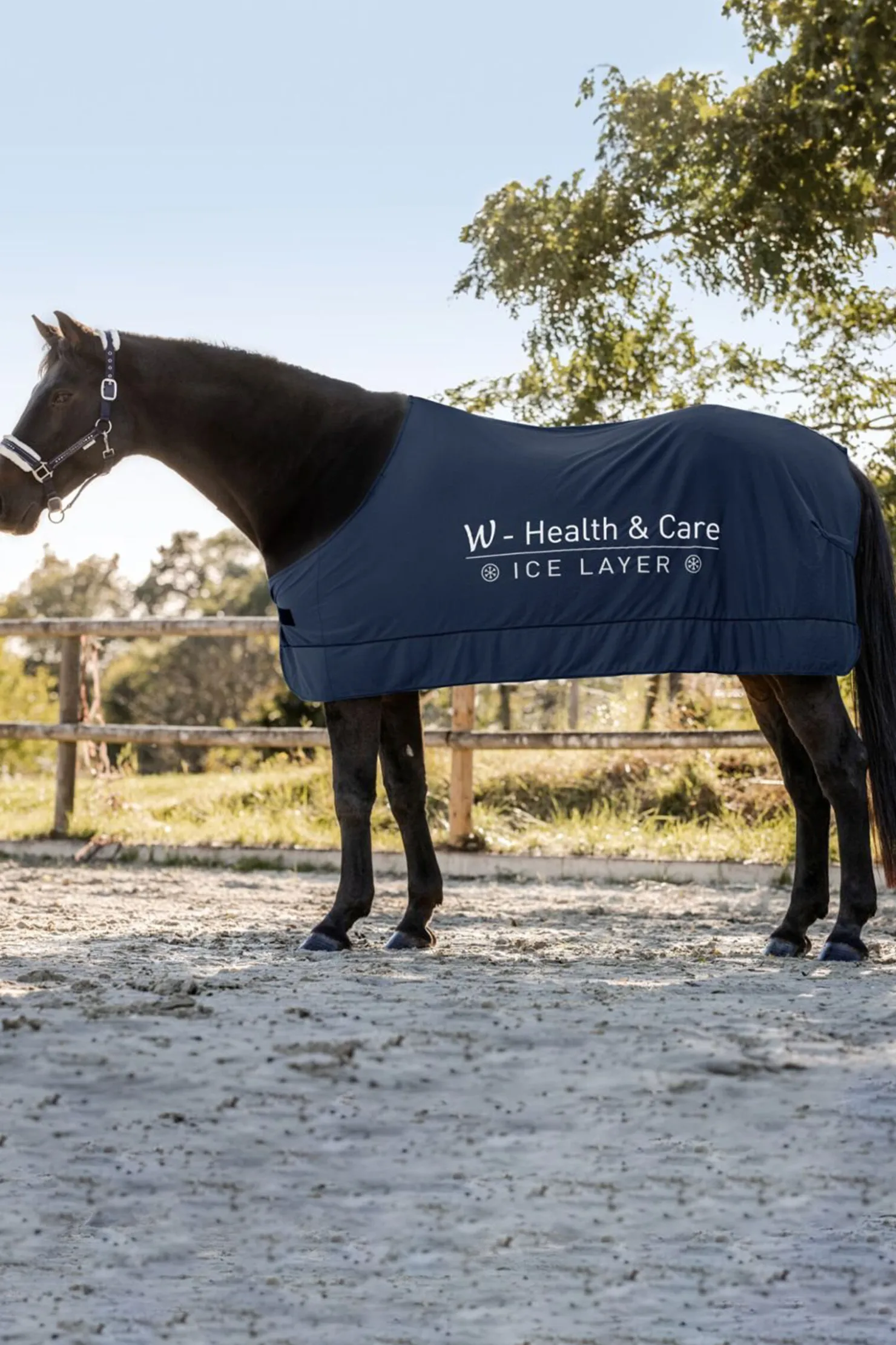 New waldhausen W-Health & Care Ice Layer Kjølepledd nightblue