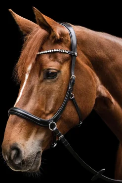 New waldhausen X-Line Sensation anatomisk bittløst hodelag black