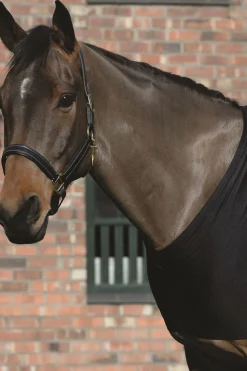 Best weatherbeeta Weatherbeeeta stretch bogbeskyttelse Black