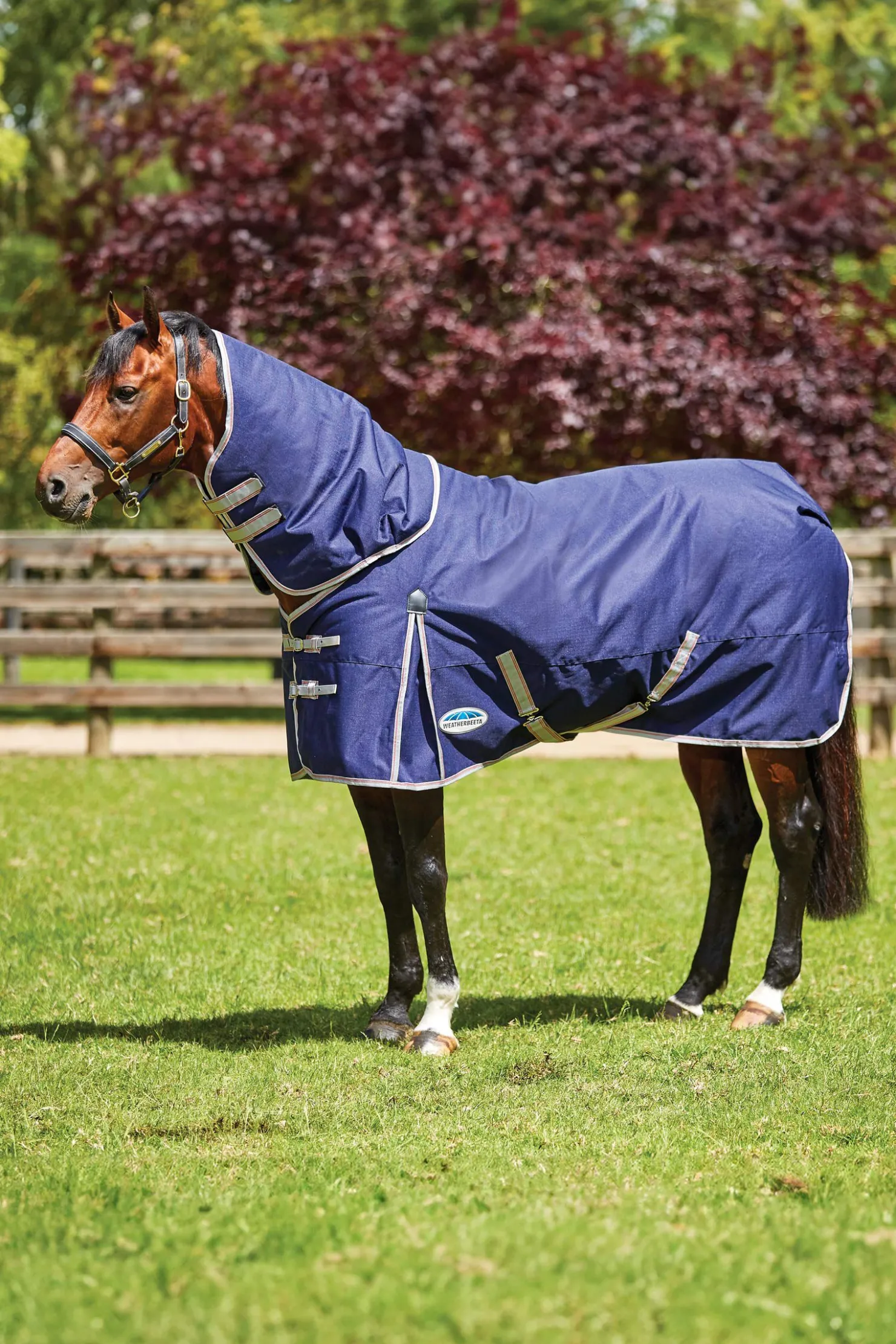 Sale weatherbeeta Comfitec Essential Detach-a-Neck Medium Turnout Rug, 220g Navy/Silver/Red