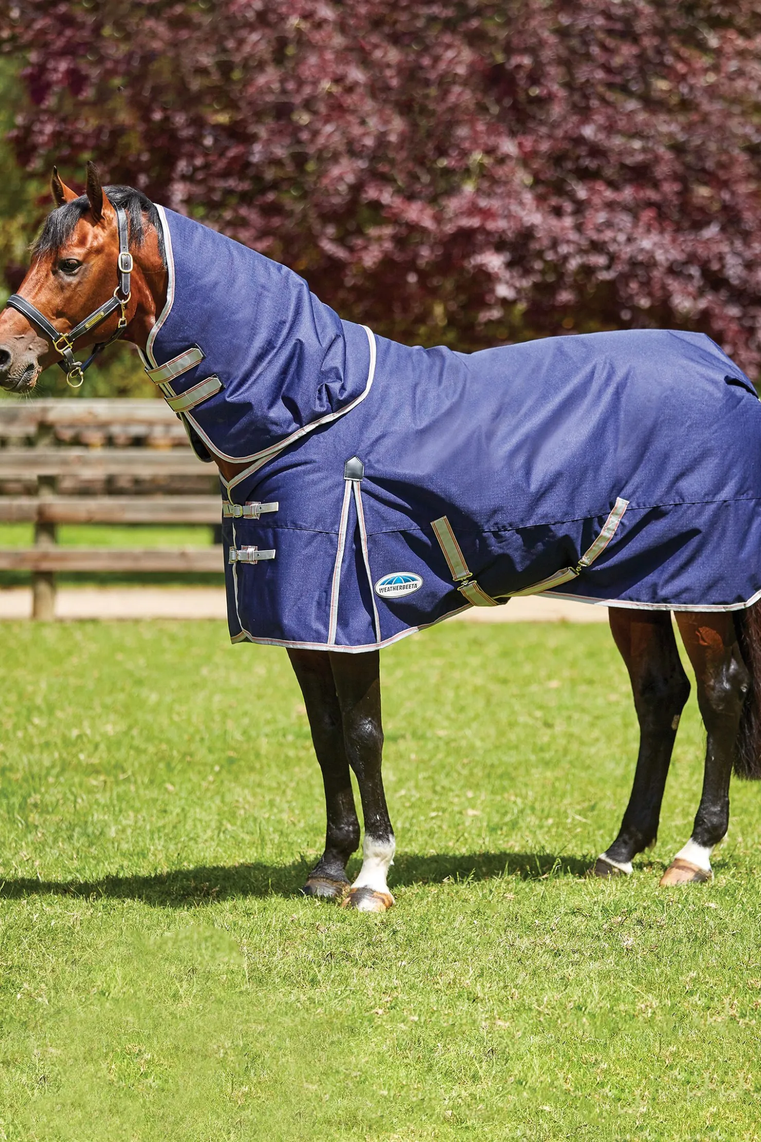 Sale weatherbeeta Comfitec Essential Detach-a-Neck Medium Turnout Rug, 220g Navy/Silver/Red