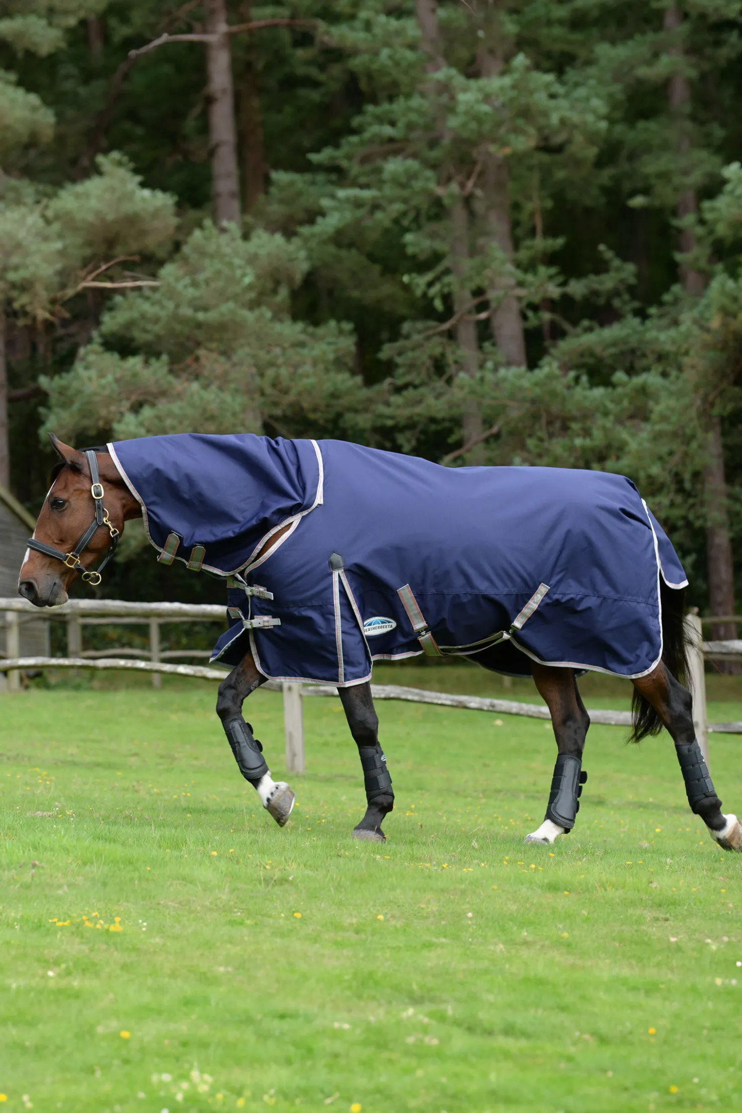Sale weatherbeeta Comfitec Essential Detach-a-Neck Medium Turnout Rug, 220g Navy/Silver/Red