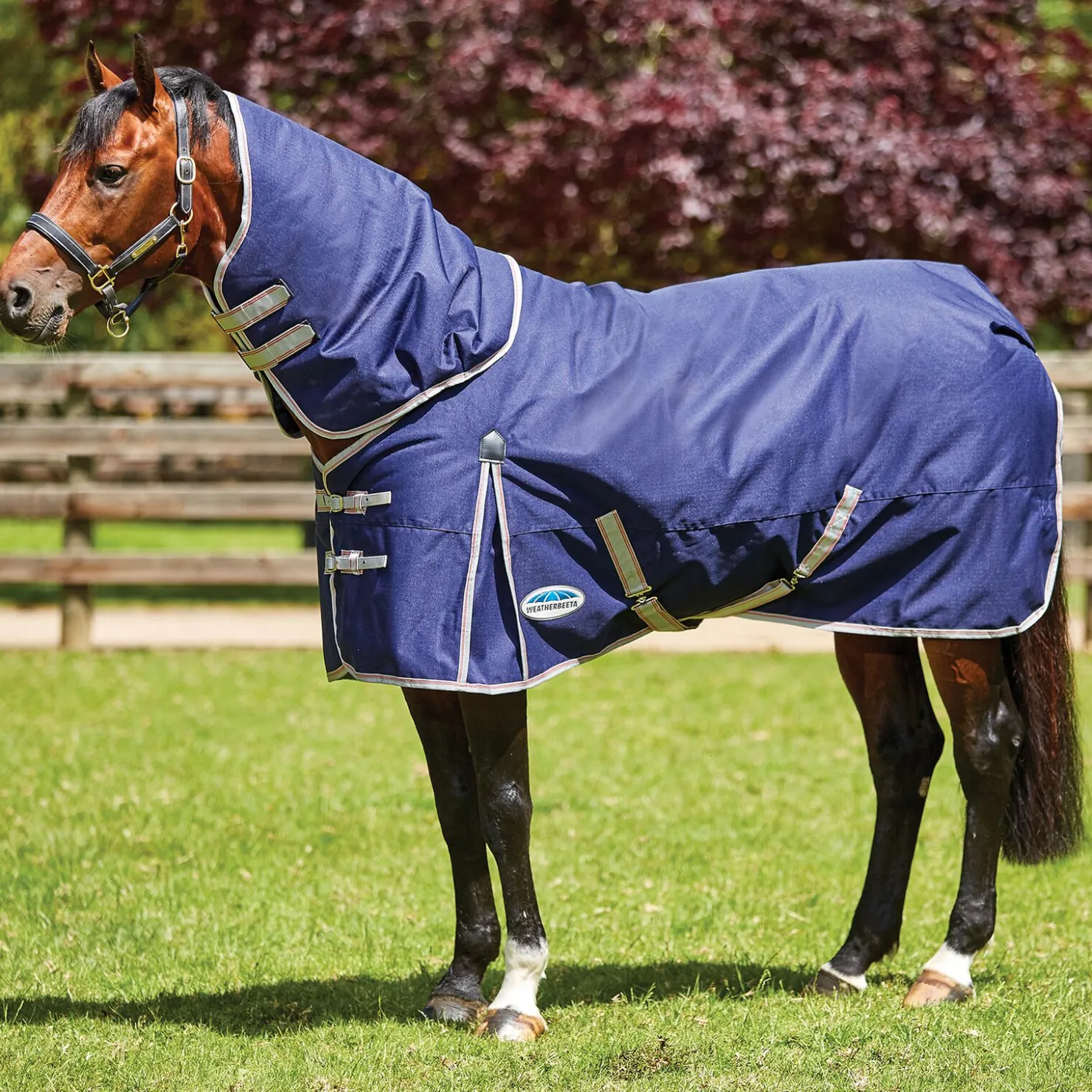 Online weatherbeeta Comfitec Essential Detach-a-neck, 50 gram Navy/Silver/Red