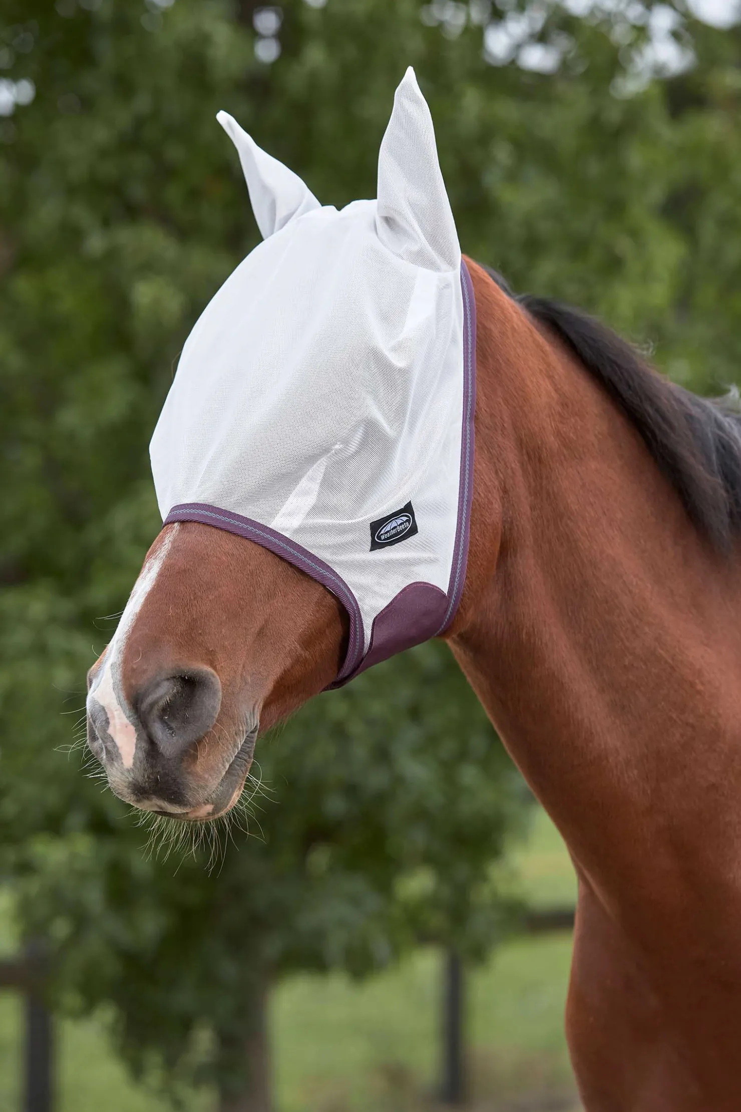 Hot weatherbeeta Comfitec Essential fluemaske i netting White/DarkRed