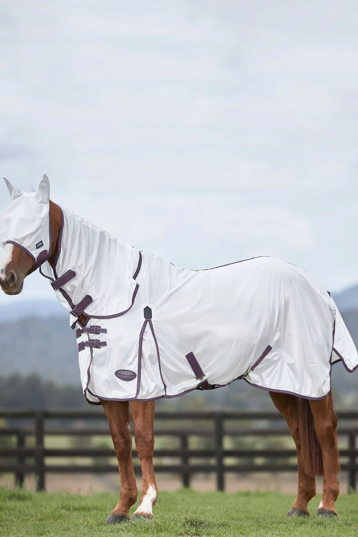 Hot weatherbeeta Comfitec Essential fluemaske i netting White/DarkRed