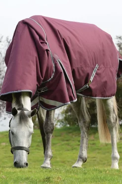 Best weatherbeeta Comfitec Plus Dynamic II Detach-a-Neck Heavy Turnout Rug, 360g DarkRed/Grey